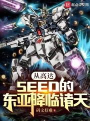 从高达SEED的东亚降临诸天